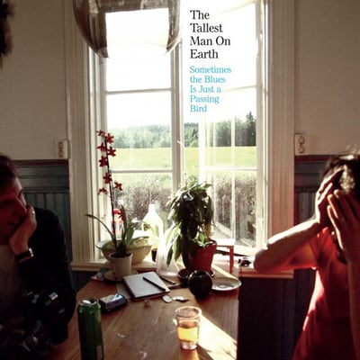 The Tallest Man On Earth - Sometimes The Blues Is Just A Passing Bird (Dead Oceans, DOC048) · 12"