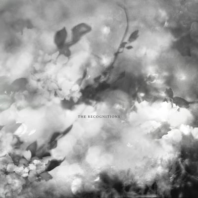Exitmusic - The Recognitions (Felte, FLT-049) · LP