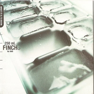 Finch - What It Is To Burn (Geffen Records, B0018013-01) · 2xLP · 180 Gram · Limited Edition, Reissue