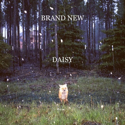 Brand New - Daisy (Interscope Records, B0013381-01) · LP · Gatefold, 180 Gram