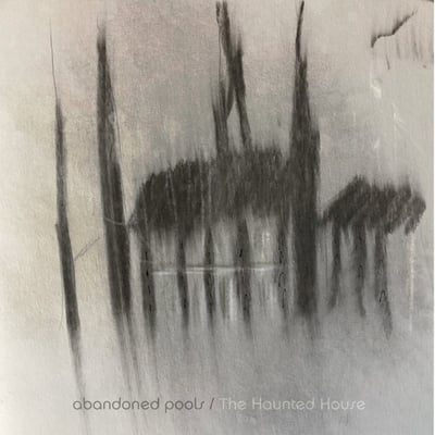 Abandoned Pools - The Haunted House (LQP Records, LQP003) · LP