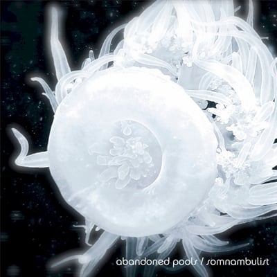 Abandoned Pools - Somnambulist (LQP Records, LQP004) · LP
