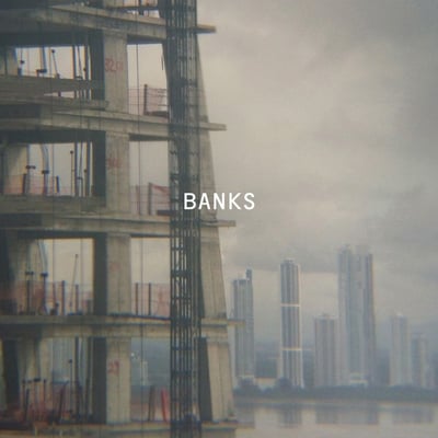 Paul Banks - Banks (Matador, OLE-979-1) · LP
