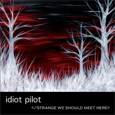 Idiot Pilot - Strange We Should Meet Here (Remixes) (Reprise Records, PRO-A-101581) · 12" · Promo