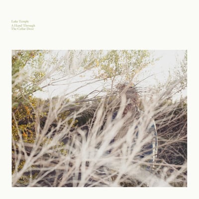 Luke Temple - A Hand Through The Cellar Door (Secretly Canadian, SC343) · LP