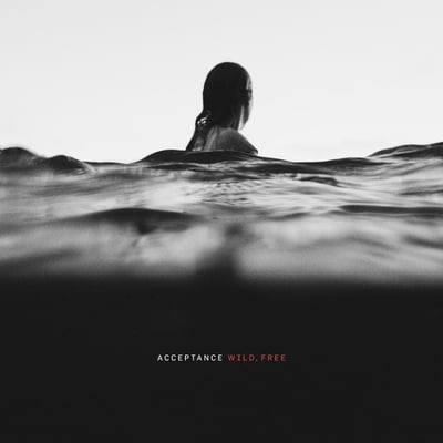 Acceptance - Wild, Free (Tooth & Nail Records, TNV000109) · LP · Orange Crush