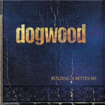 Dogwood - Building A Better Me (Tooth & Nail Records, TNV1184) · LP · Clear Gold w/ Black Splatter · Limited Edition, Remastered