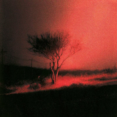 Joji - Piss In The Wind (Palace Creek, 198704742958) · LP · Clear With Red, Yellow, Blue & Green Swirl [Prism], Alternative Cover · M/M · Limited Edition