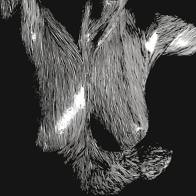 Oceansize - Self Preserved While The Bodies Float Up (Kscope, KSCOPE1278) · 3xLP · Reissue, Remastered
