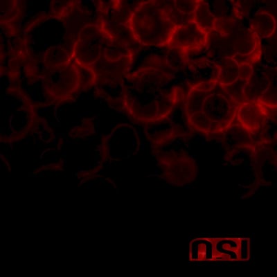 OSI - Blood (Metal Blade Records, 3984-16030-1) · 2xLP · Red Black Marbled · Limited Edition, Reissue