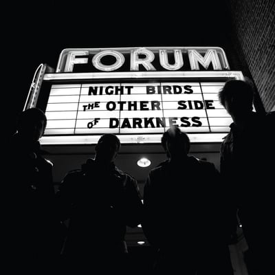 Night Birds - The Other Side Of Darkness (Grave Mistake Records, GRAVE050) · 12"