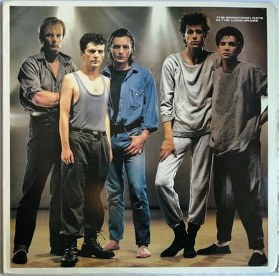 The Boomtown Rats - In The Long Grass (Mercury, MERS 38) · LP