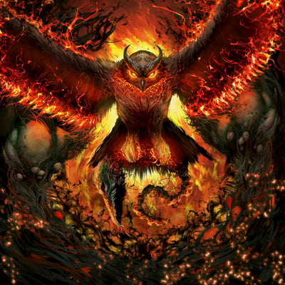 Rad Owl - Rage Gracefully (Sell The Heart Records, STHR-073) · LP · "Northern Lights" Blue