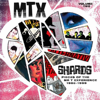 The Mr. T Experience - Shards Vol. 2 (Sounds Rad, RAD-004-1) · LP · Split Red/ White vinyl · Remastered