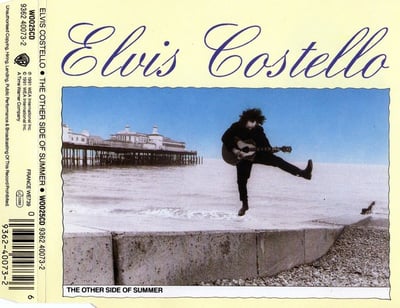 Elvis Costello - The Other Side Of Summer (Warner Bros. Records, W0025) · 7"
