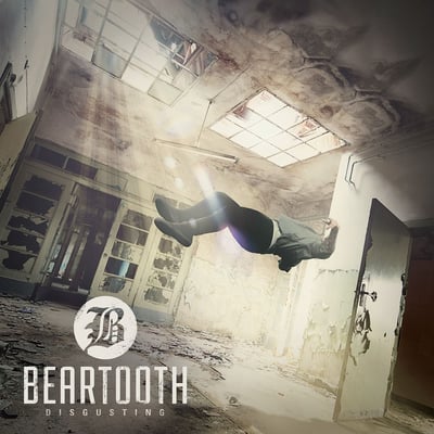 Beartooth - Disgusting (Red Bull Records, RBR0827VL) · LP · M/M · Repress