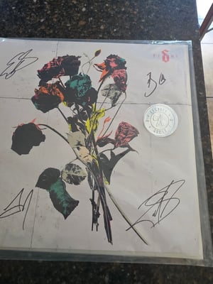 Shinedown - EI8HT · Tour Exclusive, Green Smoke · Autographed, Gatefold, Limited Edition, Tour Edition · Comes with signed artcard. Mine has a sticker on it's packaging meant to be a seal of approval that the album uses no AI, but I saw on the merch wall and in people's hands that some have a stamped seal on the actual art card rather than a sticker on the packaging. Not sure if there's any difference to them.