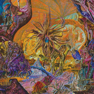Slimelord - Chytridiomycosis Relinquished (20 Buck Spin, SPIN177) · LP · B2 Highlighter Yellow / Swamp Green Merge · NM/NM
