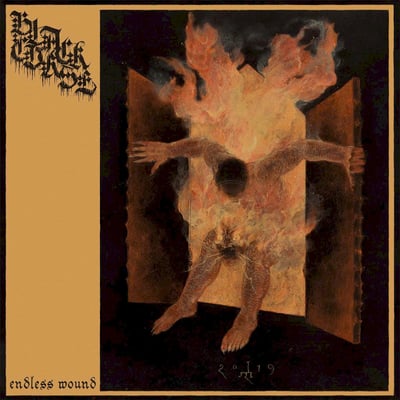 Black Curse - Endless Wound (Sepulchral Voice Records, SVR LP 029) · LP · NM/NM