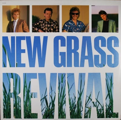 New Grass Revival - New Grass Revival (Starday Records, SLP 482-498) · LP · White Labels · VG/G+