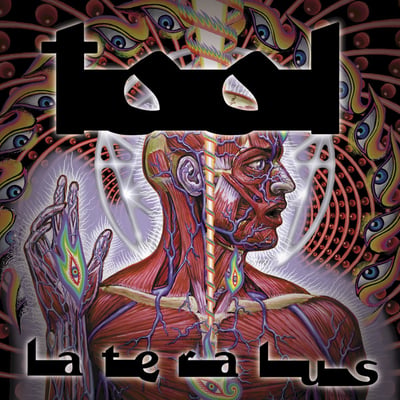 Tool - Lateralus (Volcano, 61422-3116-1 LP) · 2xLP · VG+/VG+ · Limited Edition, Picture Disc, Reissue