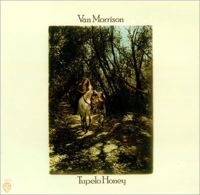 Van Morrison - Tupelo Honey (Warner Bros. Records, WS 1950, 1950) · LP · Allied Pressing; gatefold · VG/VG+ · Reissue