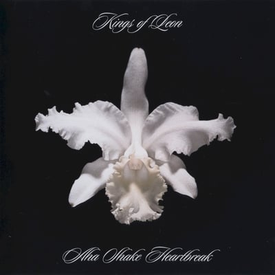 Kings of Leon - Aha Shake Heartbreak