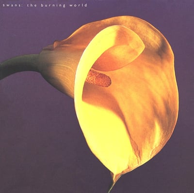 Swans - The Burning World (1972, if26) · LP · NM/NM · Reissue