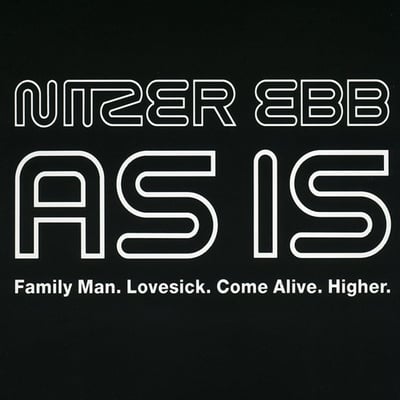 Nitzer Ebb - As Is (Geffen Records, GEF12-21658) · 12" · VG+/VG+