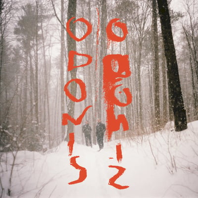 Odonis Odonis - Odonis Odonis (Royal Mountain Records, RMR-201-1) · LP · Black Translucent · Limited Edition