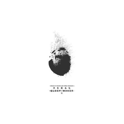 Sleep Waker - Don’t Look At The Moon (Stay Sick Recordings, none) · LP · Black inside Clear (Cloudy) · Limited Edition