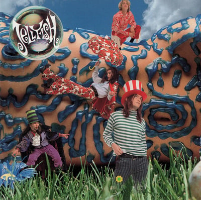 Jellyfish - Bellybutton (Capitol Records, 0602458263442) · LP · 180 Gram, Listener Edition, Gatefold · Limited Edition, Reissue