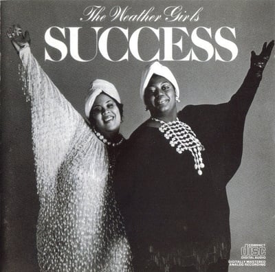 The Weather Girls - Success (Columbia, BFC 38997) · LP