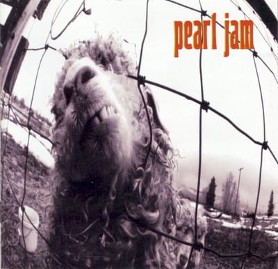 Pearl Jam - Vs. (Epic, 19658830081) · LP · Clear · Limited Edition, Reissue, Remastered, Repress