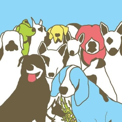 The Format - Dog Problems (The Vanity Label, VL-201321) · 2xLP · NM/NM · Etched, Limited Edition