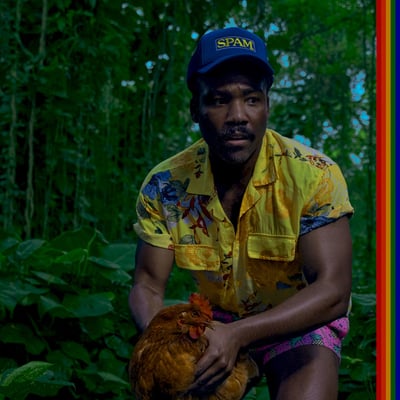 Childish Gambino - Bando Stone and the New World (RCA RECORDS, 19802-84022-1) · Black Rainbow