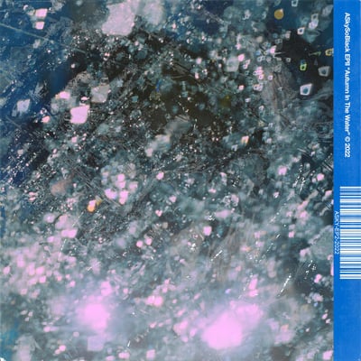 ASkySoBlack - Autumn In The Water (New Morality Zine, NMZ054) · 12"