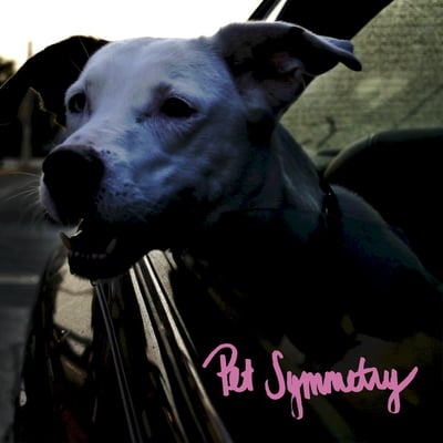 Pet Symmetry - Two Songs About Cars. Two Songs With Long Titles. (Asian Man Records, AMR 256) · 7" · Random Colors