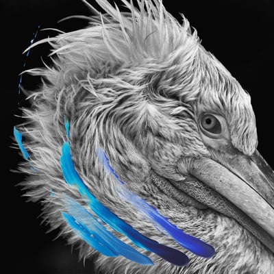 Lies - Lies (Big Scary Monsters, BSM-316V) · 2xLP · Early Bird Edition (Blue Twist) · NM/NM · Limited Edition