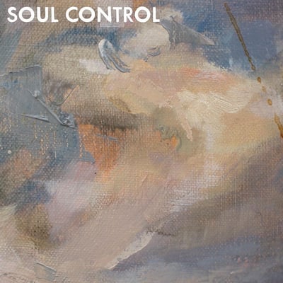 Soul Control - Silent Reality (Bridge Nine Records, B9R115) · 7" · Clear