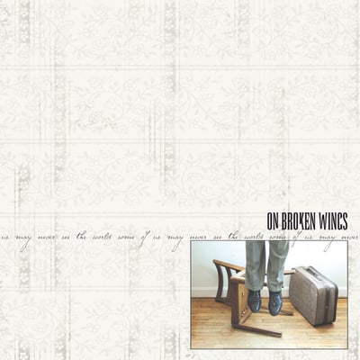 On Broken Wings - Some Of Us May Never See The World (Daze, DAZE082) · LP · Clear/Oxblood Spinner w/ Bone/Black Splatter · M/M · Limited Edition, Reissue