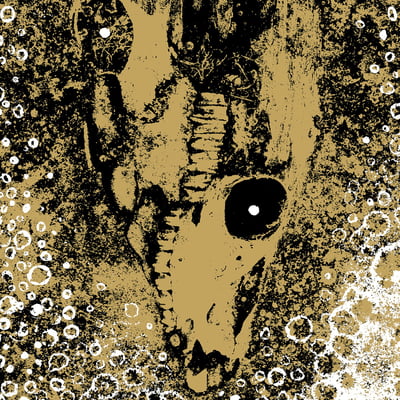 Rise And Fall - Our Circle Is Vicious (Deathwish, DWI96) · LP · White And Bronze Mix