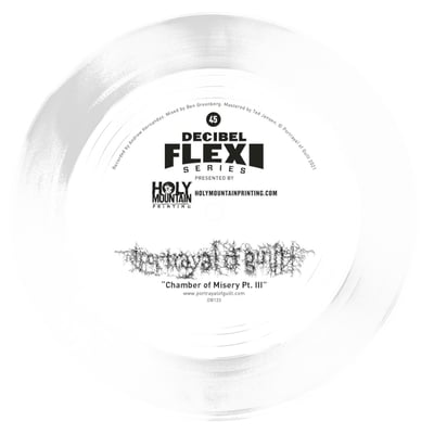 portrayal of guilt - Chamber Of Misery Pt. III (Decibel Flexi Series, DB133) · 7" · White · Media M