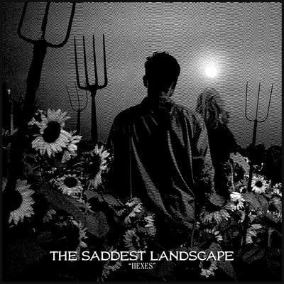 The Saddest Landscape - Hexes (Iodine Recordings, IOD-95B) · 7" · M/M
