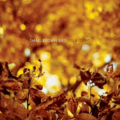 Small Brown Bike - Fell & Found (No Idea Records, NO IDEA 291) · LP · Gold