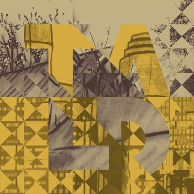 Touché Amoré / La Dispute - Searching For A Pulse/The Worth Of The World (No Sleep Records, NSR031) · 7" · Black/Gold Marble · Limited Edition