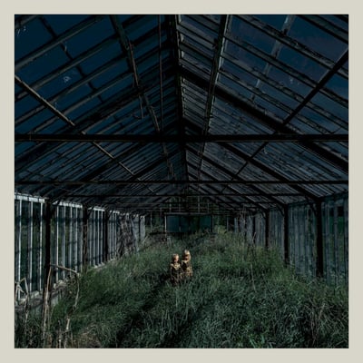 Foxing - Dealer (Triple Crown Records, 03187-1) · LP · 180 Gram