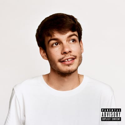 Rex Orange County - Pony (Sony Music Entertainment, 19075-98666-1) · LP
