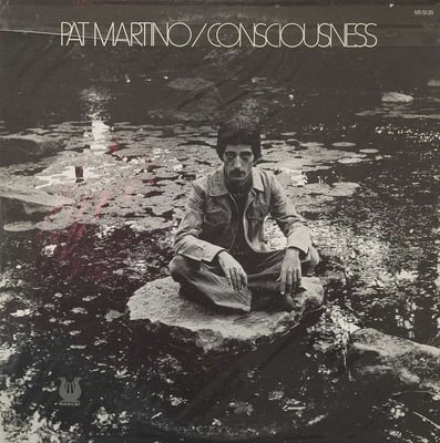Pat Martino - Consciousness (Muse Records, MR 5039) · LP · Reissue