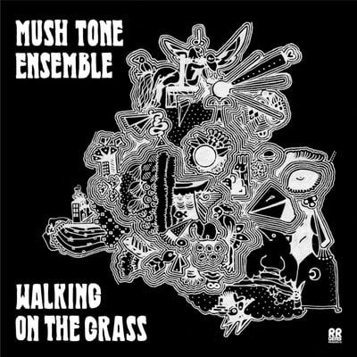Mush Tone Ensemble - Walking On The Grass (RR GEMS, RRGEMS12) · LP · NM/NM · Limited Edition